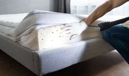 Bed Bug Control
